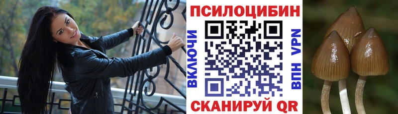 Галлюциногенные грибы ЛСД  хочу   Власиха 
